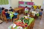 Tpllkpiramis, vzbr, gygytorna az egszsghten